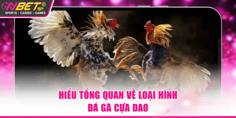 Hiểu tổng quan về loại hình đá gà cựa dao