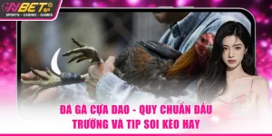 Đá gà cựa dao