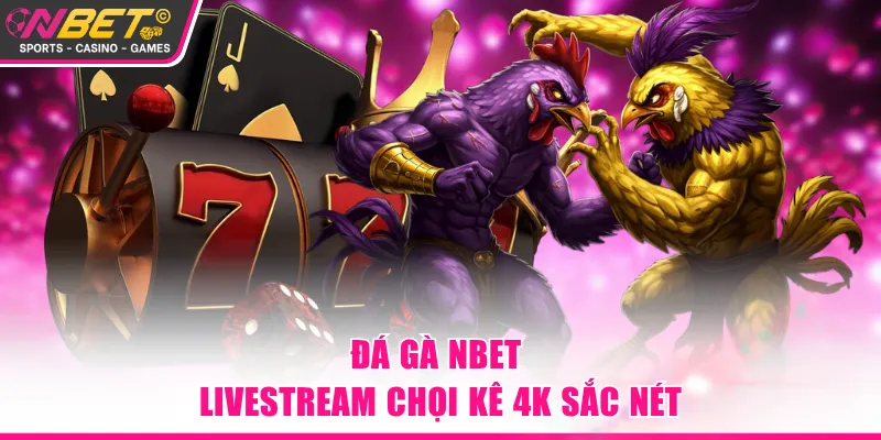 Đá gà NBET livestream chọi kê 4K sắc nét